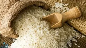 واردات برنج هندی به ایران ممنوع شد