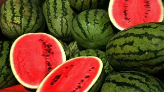 بررسی ادعای آلودگی هندوانه‌ های ایرانی به نیترات
