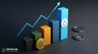 سویی (SUI) بر سر دوراهی؛ اصلاح یا دورخیز برای فتح قله‌های قیمتی جدید؟