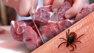 فوت بیمار مبتلا به تب خونریزی دهنده کریمه کنگو در این شهر