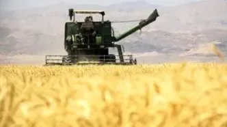 آخرین خبر رسمی درباره اصلاح قیمت گندم/ قیمت جدید گندم اعلام شد