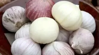 این گیاه ضد ویروس است و کلسترول خون را کاهش می‌دهد