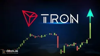 تمام هولدرهای ترون (TRX) اکنون در سود هستند