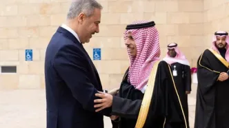دیدار و رایزنی فیدان با همتای عربستانی در ریاض
