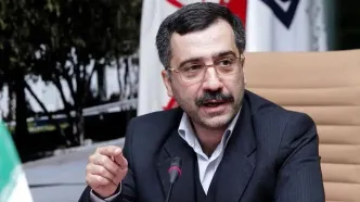 پیشنهاد افزایش سن ورود زنان به هیئت علمی برای فرزندآوری موثر نیست/ «مسائل اقتصادی» علت اصلی عدم فرزندآوری اساتید جوان است