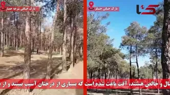 پاسخ به یک ابهام / چه شد که پارک‌های سرخه‌حصار و چیتگر خشک شدند؟ + فیلم