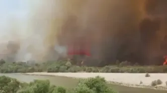 فیلم آتش‌سوزی گسترده در پارک ملی دز / نیروها به حالت آماده باش درآمدند
