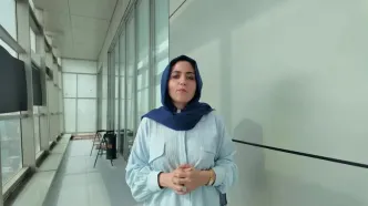 گفتگوهای رسمی، گمانه‌زنی‌های غیررسمی
