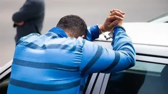 کارآگاه‌بازی زن کنجکاو سارق سریالی را به دام انداخت