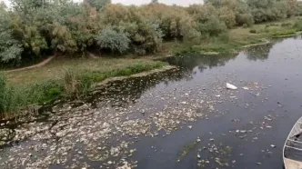 از نماد شادابی تا تهدید بهداشت؛ سرنوشت تلخ رودخانه دز در شهر حُر از توابع شوش