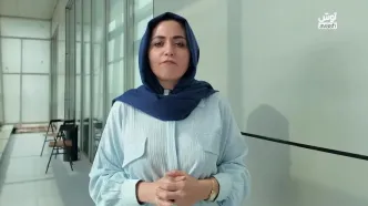 گفتگوهای رسمی، گمانه زنی های غیر رسمی