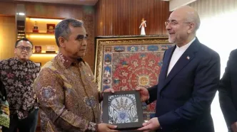 گزارش تصویری: دیدار قالیباف با رییس مجلس مشورتی اندونزی