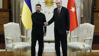اردوغان و زلنسکی در ترکیه دیدار کردند