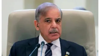 شهباز شریف وارد تهران شد؛ چه کسی به استقبال نخست‌وزیر پاکستان رفت؟