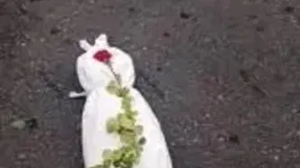 بجای نان، دو کامیون کفن وارد غزه شد!