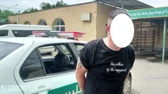 قاتل 21 ساله پسر جوان پارس آبادی بازداشت شد