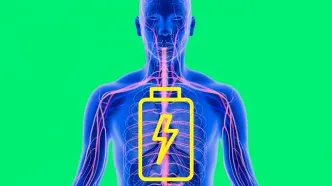 راز انرژی فوری در این میوه نهفته است