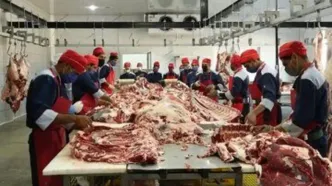 بازگشت گوشت تنظیم بازار گوسفندی و گوساله