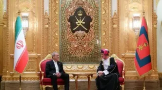 قدردان نقش فعال و سازنده عمان در روند مذاکرات غیرمستقیم هستیم