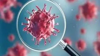 افزایش تدریجی کرونا در کشور؛ سویه جدید در راه است؟