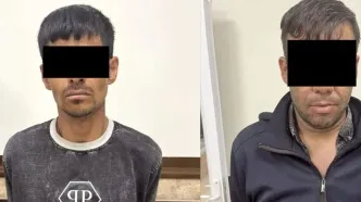 عاملان دستبرد به اموال مجروحان تصادفات دستگیر شدند