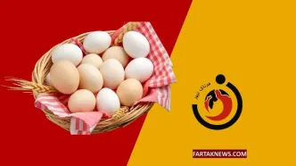 قیمت جدید تخم مرغ ؛ قیمت یک شانه تخم مرغ چند شد؟ + جدول