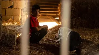 نوید سریال وحشی کیست؟ با دانیال فرجی آشنا شوید + تصاویر