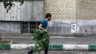 هشدار زرد رنگ فعالیت سامانه بارشی و وزش باد شدید در تهران