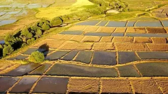 خبر خوش وزیر دادگستری برای کشاورزان؛ زمین‌های خرد هم سند رسمی می‌گیرند