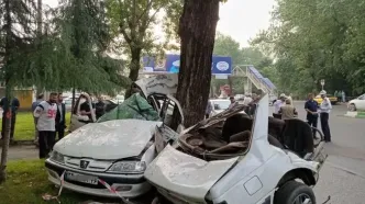 برخورد هولناک پژو با درخت؛ ۳ نفر جان باختند