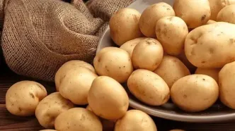 قیمت سیب زمینی به یک سال قبل بر نمی‌گردد