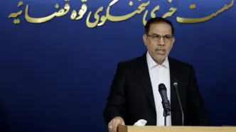 دستگیری یک تبعه اروپایی به اتهام جاسوسی