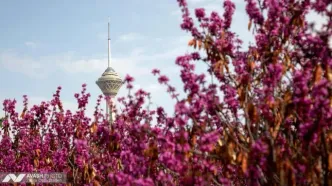 اداره کل هواشناسی استان تهران یک اطلاعیه صادر کرد