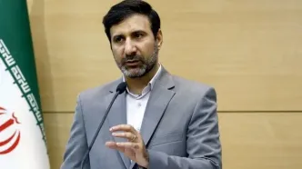 واکنش شورای نگهبان به اظهارات میرسلیم: تشخیص موضوعات خارج از صلاحیت شوراست