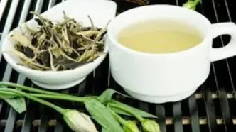 خواص چای سفید برای بدن / از لاغری تا آرامش اعصاب