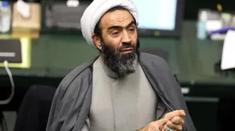 نقدعلی: قانون مهریه، قاتل هوش جوانان شده است
