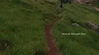 بهار تماشایی در البرز مرکزی