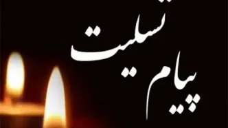 پیام تسلیت مدیرعامل بیمه دی به مناسبت درگذشت حاج همت هادی زاده؛ دبیر انجمن شمالی‌های مقیم تهران