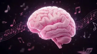 مغز چگونه ریتم موسیقی را درک می کند؟