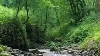 فال ابجد 25 اردیبهشت
