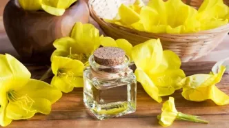 روغن گل مغربی چه فایده‌ای دارد؟