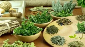 افزایش بی‌سابقه صدور مجوز مواد اولیه دارو‌های سنتی