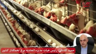 وضعیت بازار تخم مرغ بحرانی شد (اردیبهشت ۱۴۰۴)