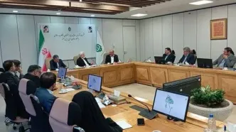 عارف: بنیاد مستضعفان رقیب دولت نیست