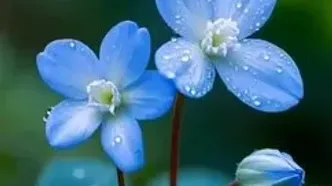 فال ابجد محشر 28 اردیبهشت + فیلم