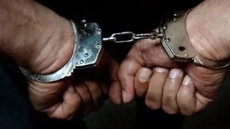 شبکه شرط‌بندی مبارزات زیرزمینی در دماوند کشف و منهدم شد