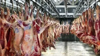 جریمه میلیاردی برای تخلف گرانفروشی گوشت قرمز