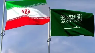 واکنش سفیر ایران به آزادی قاسمیان: برخی از امور قابل گفتن نیست