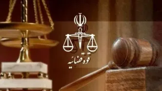 ورود قوه قضاییه به حادثه منجر به فوت عکاس معروف