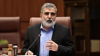 معاون سازمان انرژی اتمی ایران: ایران تنها کشوری نیست که غنی‌سازی می‌کند و سلاح هسته‌ای ندارد